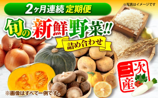 【全2回定期便】厳選！農夫のお野菜セット 旬の野菜 詰め合わせ 野菜セット 盛り合わせ 三次市/布野特産センター [APBA014]