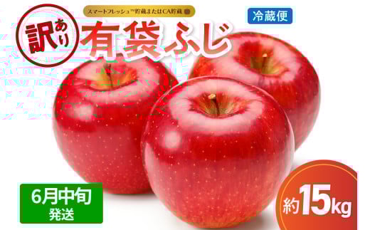 【2025年6月中旬発送】【訳あり】りんご15kg有袋ふじ【スマートフレッシュTM貯蔵またはCA貯蔵・クール便】 1069946 - 青森県五所川原市