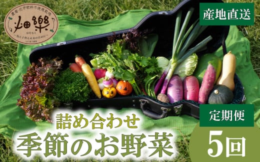 旬 の 野菜 詰め合わせ セット 5回 定期便 7 ~ 9 品【2025年4月以降順次発送】 お楽しみ 産地直送 農家直送 季節 春 夏 秋 冬 露地野菜 やさい サラダ 農薬 化学肥料 不使用 下関 山口