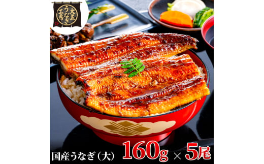 [№5695-1776]うなぎ蒲焼 160g×5尾(800g) うなぎ ウナギ 鰻 蒲焼 蒲焼き 静岡 島田市 1905191 - 静岡県島田市