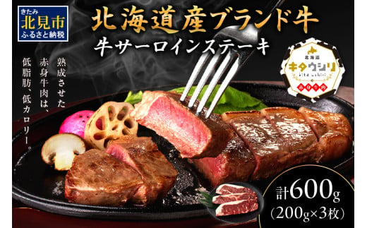 キタウシリ 牛サーロインステーキ 200g×3枚 ( 牛肉 サーロインステーキ 肉 ステーキ 赤身肉 ニク にく 北海道 国産牛 北見市 ブランド牛 赤身 ヘルシー 数量限定 )【173-0001】