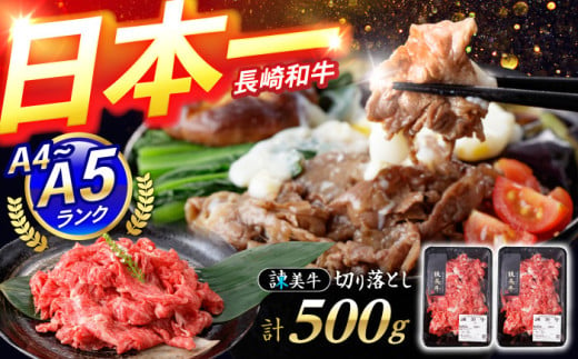 【特Aのブランド米で育てた】諫美牛 切り落とし 500g(250g×2) / 牛肉 ぎゅうにく 和牛 牛 肉 国産 切り落とし 切り落し 切りおとし / 諫早市 / 株式会社土井農場 [AHAD090] 1536670 - 長崎県諫早市