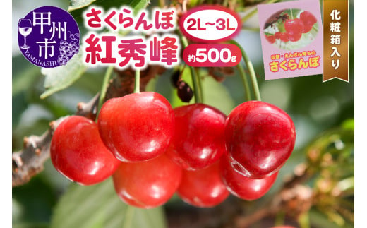 甲州市産大粒さくらんぼ童夢の「紅秀峰」化粧箱（約500g 2L～3Lサイズ）【2025年発送】（DOM）C5-142 1906071 - 山梨県甲州市