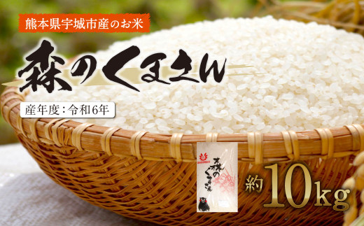 【令和6年産】森のくまさん 精米 約10kg【2025年10月下旬までに発送予定】米 精米 379190 - 熊本県宇城市