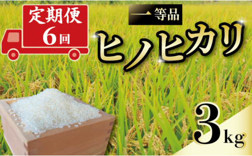 定期便 6回 一等品 京都府産 ヒノヒカリ 3kg 白米 宇治 ごはん ひのひかり 令和6年産 京都 京都府 減農薬 EJ05