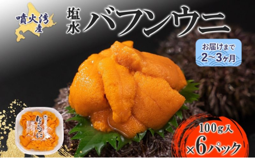 [№5525-0871]北海道 噴火湾産 塩水 バフンウニ 100g 6パック 計600g うに ウニ 雲丹 海鮮 海の幸 魚介類 ウニ丼 お寿司 濃厚 無添加 産地直送 お取り寄せ 山村水産 送料無料  1279100 - 北海道伊達市 |