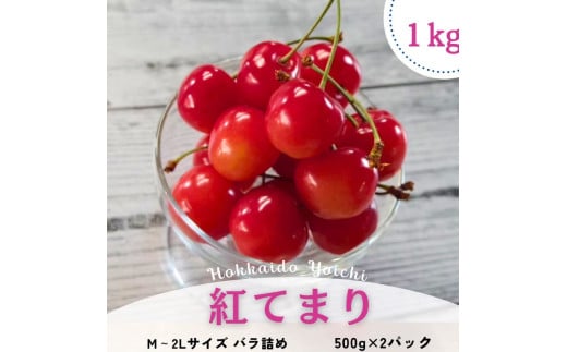 【先行予約2025年7月より発送】＜北海道余市産＞さくらんぼ「紅てまり」（M～2Lサイズバラ詰め）500ｇ×２パック 1931784 - 北海道余市町