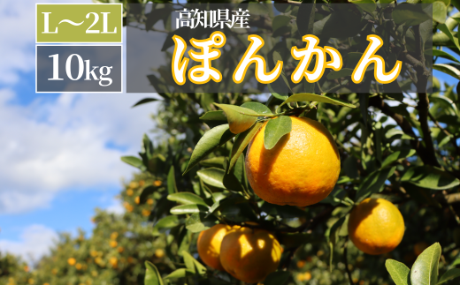 TM002-2 徳村のぽんかん L〜2Lサイズ＜10kg＞国産 東洋町産 訳アリ 甘い コク ジューシー 果肉 高知県 東洋町 四国 お取り寄せ フルーツ 果物 家庭用 自宅用 送料無料