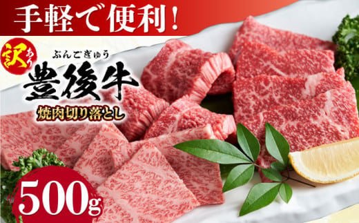 【訳あり】おおいた豊後牛 焼肉 切り落とし 500g 日田市 / 株式会社MEAT PLUS　牛 うし 黒毛和牛 和牛 豊後牛 [AREI032] 1838549 - 大分県日田市