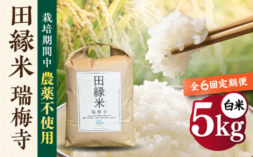 【先行受付】【全6回定期便】 田縁米(でんえんまい)・瑞梅寺(ずいばいじ) 白米 5kg 【2025年11月下旬以降順次発送】 糸島市 / NPO法人田縁プロジェクト 米 白米 [ATM007]