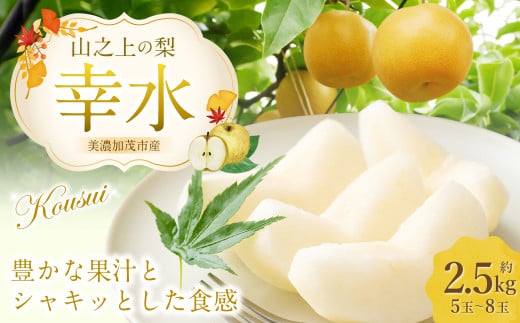 《先行予約》 「山之上果実農業協同組合」 山之上の梨 幸水 1箱 約 2.5kg 5-8玉 梨 なし ナシ 【2025年8月上旬-8月下旬 発送予定】