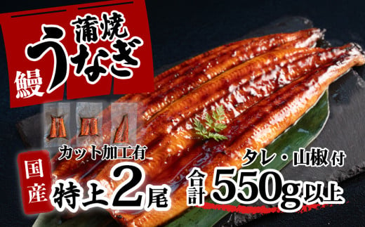 特上 国産 うなぎ カット 蒲焼 6枚 （ 2尾 分）セット  【合計550g以上】 たれ・山椒付き ウナギ 鰻 うな重 ひつまぶし 人気 茨城 八千代町 ふるさと納税 冷凍