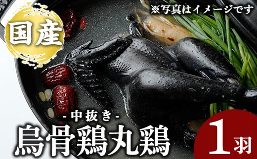 K-333 国産！烏骨鶏丸鶏(中抜き)1羽【お多福たまご】霧島市 国産 九州産 鹿児島県産 烏骨鶏 うこっけい 鶏肉 鳥肉 鶏 とり 丸どり