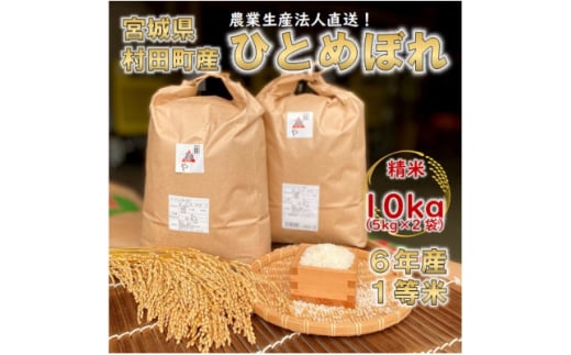 令和6年宮城県産 ひとめぼれ 精米10kg(5kg×2袋)＜村田町産