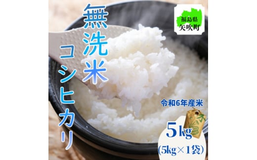 令和6年産〈無洗米〉　福島県矢吹町の美味しいこしひかり5kg【1543984】 1464563 - 福島県矢吹町