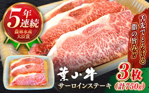 サーロイン 国産 和牛 A5ランク 牛肉 葉山牛 サーロインステーキ 計750g ( 250g × 3枚 ) A5 750グラム サーロイン ステーキ 冷凍 人気 おすすめ 国産 葉山牛[葉山牛ステーキレストラン 角車] [ASBD017]