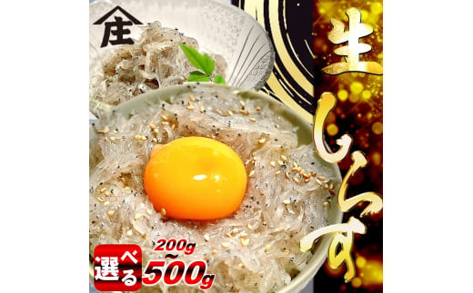 生しらす 500g ( 100g × 5袋 ) 冷凍 刺身 真空パック ごはん 丼 サラダ 魚 料理 愛知県 南知多町 師崎 シラス しらす 小魚 魚貝 魚貝類 しらす シラス 海鮮 しらす丼 シラス丼 ふるさと納税しらすしらす おすすめ 大人気 南知多産しらす愛知県産しらす 