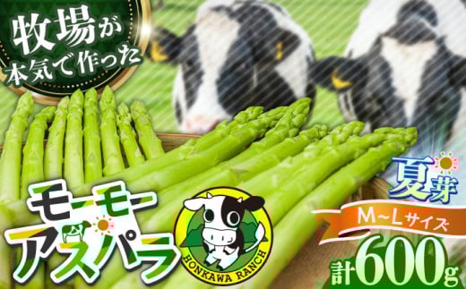 [先行予約]モーモーアスパラ夏芽 L・M 600g(6月中旬より順次発送) 食べやすい太さの2種セット 600g 日田市 / 有限会社本川牧場 [ARAI037]