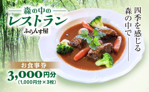 森の中のレストランふらんす屋 お食事券 3,000円分(1,000円分×3枚) ふるさと納税 食事券 チケット 森の中 レストラン テラス ドッグラン わんちゃんルーム 四季 自然 千葉県山武市