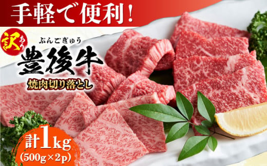 【訳あり】おおいた豊後牛 焼肉 切り落とし 1kg(500g×2P) 日田市 / 株式会社MEAT PLUS　牛 うし 黒毛和牛 和牛 豊後牛 [AREI033] 1838550 - 大分県日田市