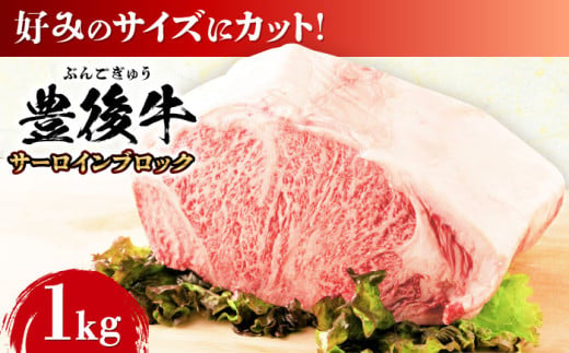 【厳選部位】おおいた豊後牛 サーロイン ブロック 1kg 日田市 / 株式会社MEAT PLUS　牛 うし 黒毛和牛 和牛 豊後牛 [AREI023] 1838540 - 大分県日田市