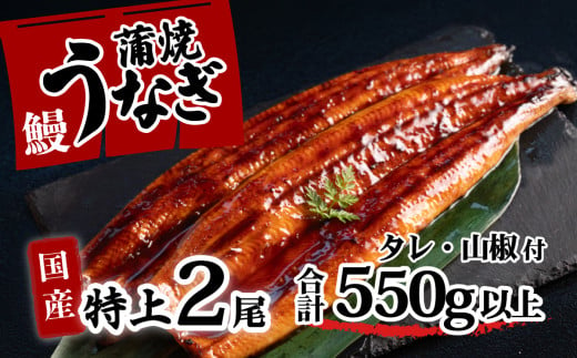 特上 国産うなぎ 蒲焼 2尾セット 【合計550g以上】 タレ・山椒付 ウナギ 鰻 うな重 ひつまぶし 人気 茨城 八千代町 ふるさと納税 冷凍