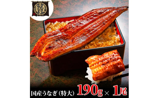 [№5695-1743]うなぎ蒲焼 190g×1尾 うなぎ ウナギ 鰻 蒲焼 蒲焼き 静岡 島田市 1905161 - 静岡県島田市