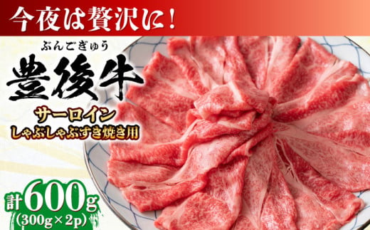 【厳選部位】おおいた豊後牛 サーロイン しゃぶしゃぶすき焼き用 600g(300g×2P) 日田市 / 株式会社MEAT PLUS　牛 うし 黒毛和牛 和牛 豊後牛 [AREI017] 1838534 - 大分県日田市