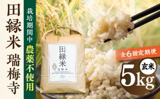 【先行受付】【全6回定期便】 田縁米(でんえんまい)・瑞梅寺(ずいばいじ) 玄米 5kg 【2025年11月下旬以降順次発送】 糸島市 / NPO法人田縁プロジェクト 米 玄米 定期便 [ATM009]