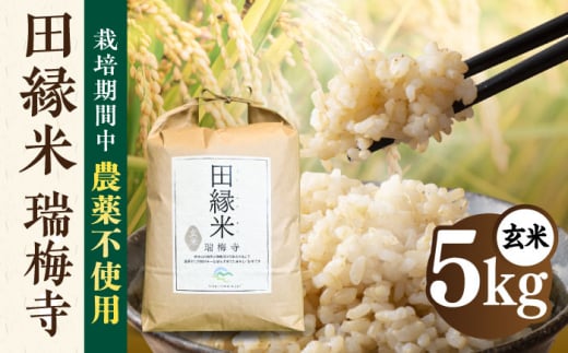 田縁米(でんえんまい)・瑞梅寺(ずいばいじ) 玄米 5kg 糸島市 / NPO法人田縁プロジェクト 玄米 お米 