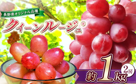 2025年 先行予約 クイーンルージュ® 約1kg 2房 ほりうち農園 | 果物 フルーツ ぶどう 葡萄 ブドウ  赤ぶどう マスカット クイーンルージュ®  希少 品種  種無し 種なし 皮ごと 食べやすい 高糖度  信州 特産品 千曲市 長野県 先行予約 1026551 - 長野県千曲市