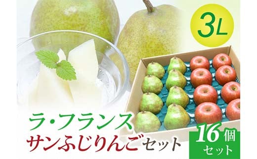 【令和7年先行受付】ラ・フランス 3Lサイズ 8個 ＆ サンふじりんご 8個セット 梨 洋梨 果物 フルーツ FSY-2098 1985650 - 山形県山形県庁