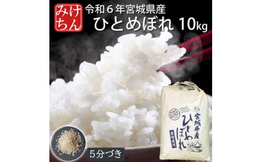 令和6年産　宮城県産ひとめぼれ10kg　5分づき【1552904】 1502550 - 宮城県村田町