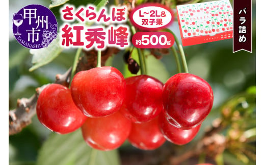 さくらんぼ童夢の「紅秀峰」バラ詰め(約500g L〜2Lサイズ&双子果)[2025年発送](DOM)B-154