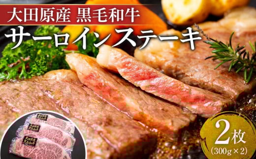 大田原産 黒毛和牛 サーロイン ステーキ　約300g×2枚 699394 - 栃木県大田原市