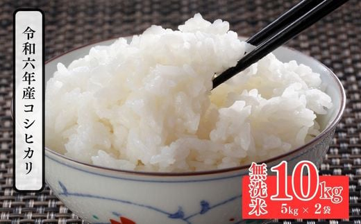 No.2499大文字屋米穀店【令和6年産】コシヒカリ精米（無洗米）1等米 10kg