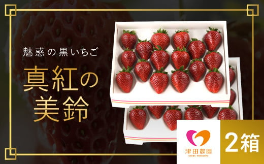 【2025年2月から順次発送】 魅惑の黒いちご「真紅の美鈴」2箱 ふるさと納税 いちごイチゴ 苺 真紅の美鈴 黒いちご 黒イチゴ しんくのみすず 甘い 完熟 魅惑 赤 深紅 ワイン色 朝収穫 新鮮 美味しい 贈答 ギフト お取り寄せ 千葉県 富里市 TME002 1896005 - 千葉県富里市