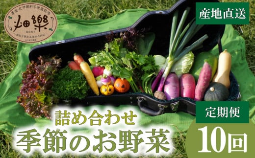 旬 の 野菜 詰め合わせ セット 10回 定期便 7 ~ 9 品【2025年4月以降順次発送】 お楽しみ 産地直送 農家直送 季節 春 夏 秋 冬 露地野菜 やさい サラダ 農薬 化学肥料 不使用 下関 山口 1955852 - 山口県下関市