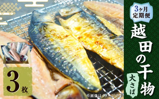 【3ヶ月定期便】 越田の干物 大さば 3枚入×1パック 合計9枚 干物 鯖 さば 魚 お魚 さかな さば サバ