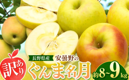 *【2025年先行予約】東印平林農園 訳あり ぐんま名月 約8～9kg ｜ リンゴ りんご 林檎 果物 フルーツ 果実 果汁 ぐんま名月 ぐんまめいげつ 家庭用 わけあり 訳アリ 長野県 松川村 信州 725643 - 長野県松川村