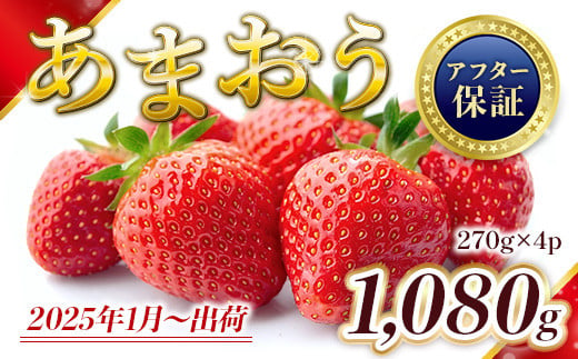 福岡県篠栗町のふるさと納税 お礼の品ランキング【ふるさとチョイス】