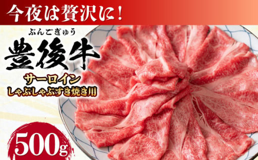 【厳選部位】おおいた豊後牛 サーロイン しゃぶしゃぶすき焼き用 500g 日田市 / 株式会社MEAT PLUS　牛 うし 黒毛和牛 和牛 豊後牛 [AREI016] 1838533 - 大分県日田市