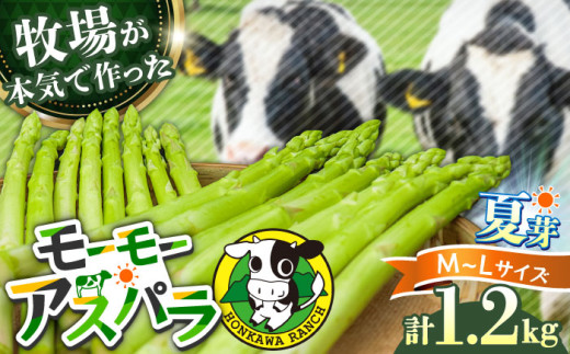 【期間限定】モーモーアスパラ夏芽 L・M 1.2kg（6月中旬より順次発送） 食べやすい太さの2種セット 1.2kg 日田市 / 有限会社本川牧場 [ARAI038] 1881623 - 大分県日田市