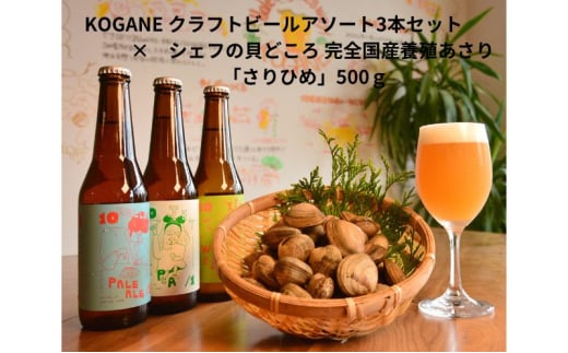 [№5258-1320]KOGANE クラフトビールアソート3本セット×シェフの貝どころ 完全国産養殖あさり「さりひめ」500g　国産 あさり アサリ 養殖 ビール 酒 兵庫県 姫路市 1904530 - 兵庫県姫路市