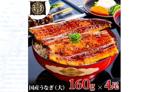 [№5695-1767]うなぎ蒲焼 160g×4尾(640g) うなぎ ウナギ 鰻 蒲焼 蒲焼き冷凍 国産 大五 大五通商 静岡 島田市 1905182 - 静岡県島田市