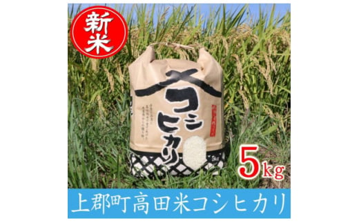 令和6年産 上郡町高田米コシヒカリ 5kg【1580466】 1904235 - 兵庫県上郡町