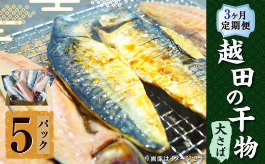 【3ヶ月定期便】 越田の干物 大さば（1枚入）×5パック 合計15パック 干物 鯖 さば 魚 お魚 さかな さば サバ