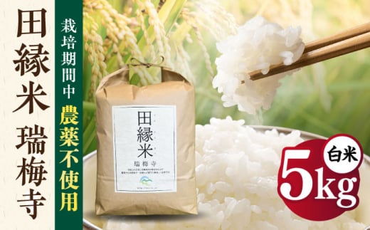 田縁米(でんえんまい)・瑞梅寺(ずいばいじ) 白米 5kg 糸島市 / NPO法人田縁プロジェクト 米 白米 