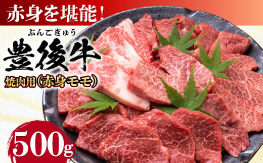 おおいた豊後牛 赤身モモ 焼肉用 500g 日田市 / 株式会社MEAT PLUS　牛 うし 黒毛和牛 和牛 豊後牛 [AREI019] 1838536 - 大分県日田市