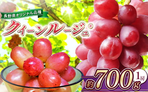 2025年 先行予約 クイーンルージュ® 約700g 1房 ほりうち農園 | 果物 フルーツ ぶどう 葡萄 ブドウ  赤ぶどう マスカット クイーンルージュ®  希少 品種  種無し 種なし 皮ごと 食べやすい 高糖度  信州 特産品 千曲市 長野県 先行予約 1941204 - 長野県千曲市